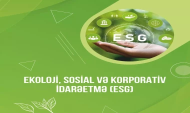 Yerli bizneslər ESG və “yaşıl gündəliyə” hazır olmaq üçün nə etməlidir?
