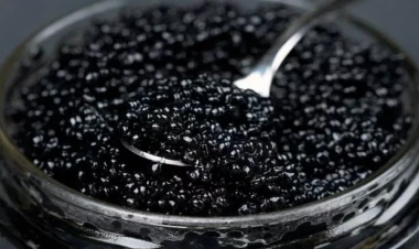 Qara kürü niyə bu qədər bahadır? - 6 əsas səbəb