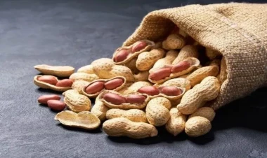 Müalicəvi xüsusiyyətləri qabığında gizlənmiş çərəz – Görün hansı faydaları var