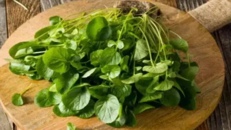 Bu göyərti bədəndəki bütün zərərli maddələri təmizləyir