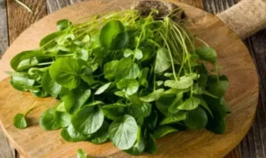 Bu göyərti bədəndəki bütün zərərli maddələri təmizləyir