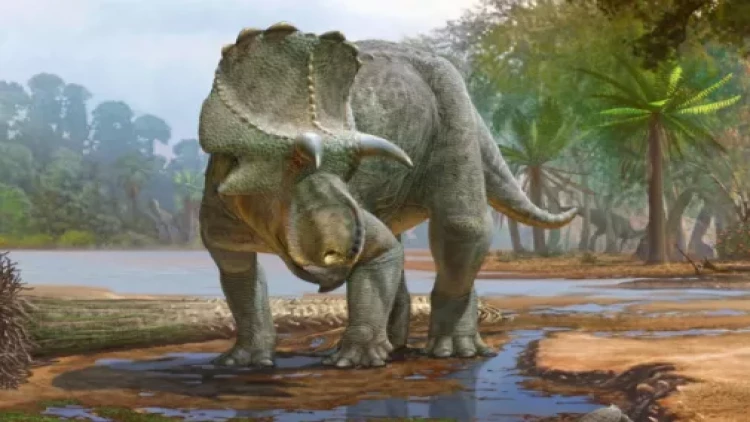 Yeni nəhəng dinozavr növü aşkarlandı