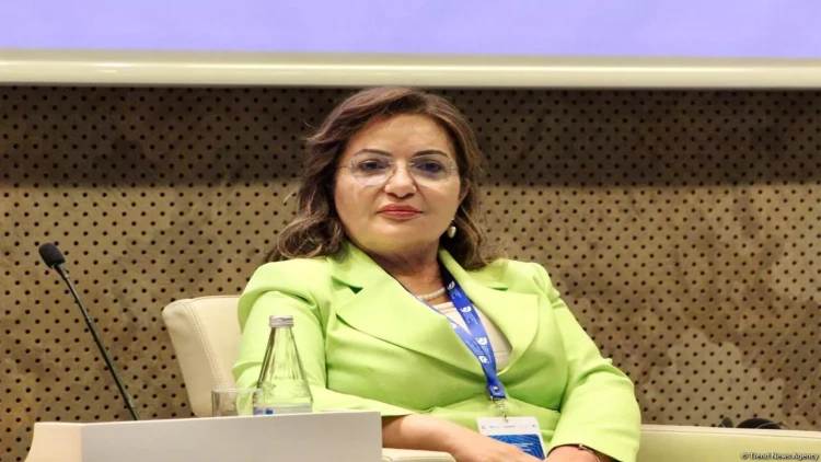 Şuşa Bəyannaməsi TDT-də birliyi gücləndirən amillərdən biridir - Aygün Attar