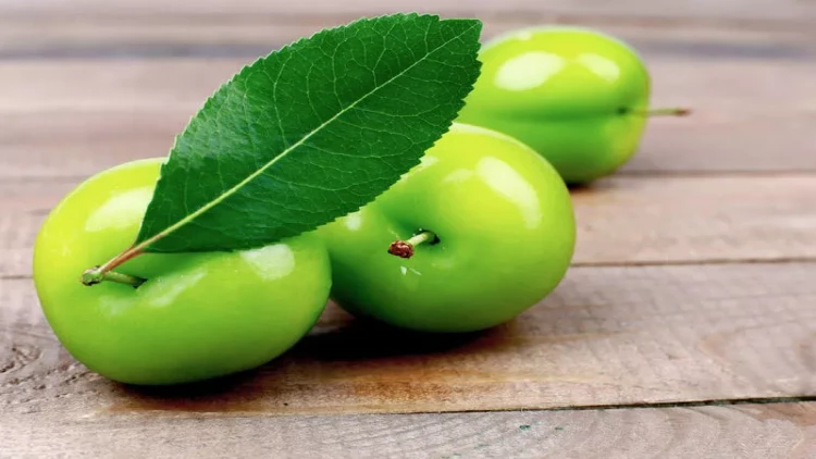 Alçanın nə kimi faydaları var?