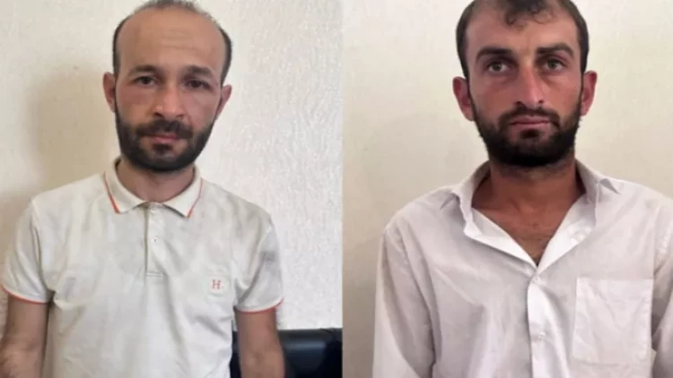 Heyvan oğruları saxlanıldı