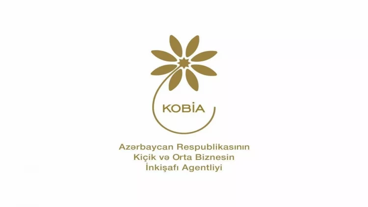 KOBİA nümayəndələri Vyetnamda əməkdaşlığa dair sənədlər imzalayıblar - FOTO