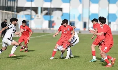 Millimizdən qollu heç-heçə - FOTO