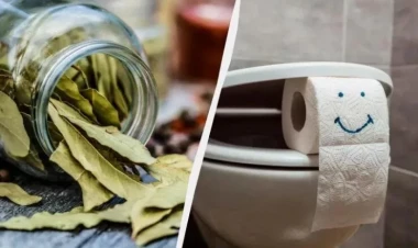 Tualeti dəfnə yarpağı ilə sürtün – Evdar qadınlar bilməlidir
