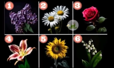 Bu çiçəklər gizli duyğulardan xəbər verir - Şəxsiyyət TESTİ