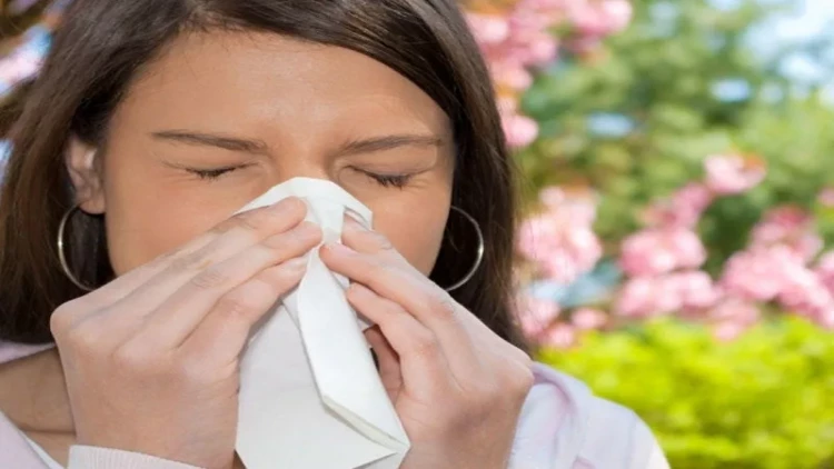 Allergiya mövsümü: Nəyə diqqət edək və necə qorunaq? - VİDEO