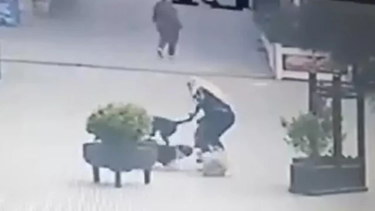 Xırdalanda sahibsiz itlərin qadına hücumu ilə bağlı RƏSMİ AÇIQLAMA - VİDEO