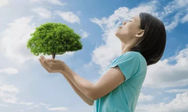 Təmiz hava təhlükəli xəstəliyin inkişafına kömək edirmiş