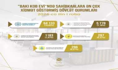 Sahibkarlar “Bakı KOB evi”nə daha çox hansı dövlət xidmətləri üçün müraciət edirlər