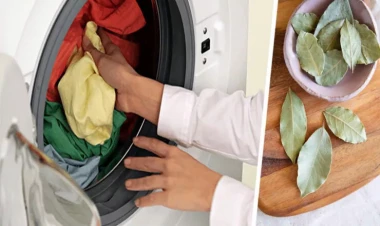 Paltaryuyan maşına içində dəfnə yarpağı olan corab qoyun