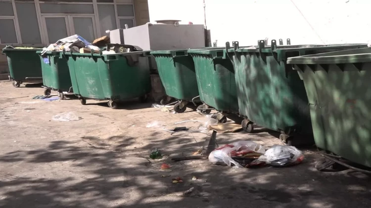 Küçədən insan dərisi tapıldı - VİDEO