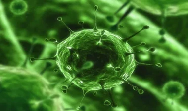 Dünyada yeni virus yayılır - VİDEO