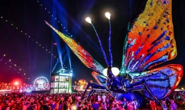 Məşhur festival bu məbləğdə cərimələnib