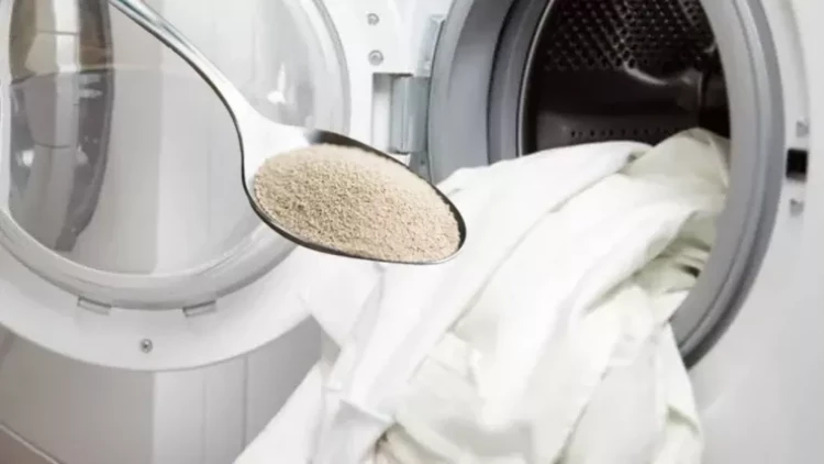 Paltaryuyana 1 paket quru maya əlavə edin - Nəticə sizi təəccübləndirəcək