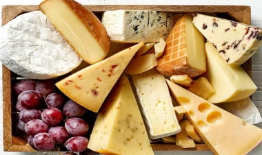 Pendirdən imtina etməyin 4 əsas səbəbi