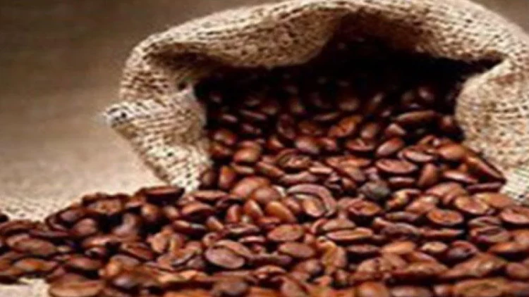 Kakaonun qiyməti rekord vurdu