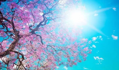 Sabah Bakıda 24° isti olacaq