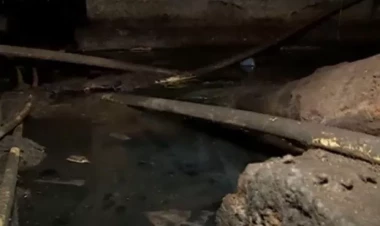 Bakıda yaşayış binasının zirzəmisi antisanitar vəziyyətdədir - VİDEO