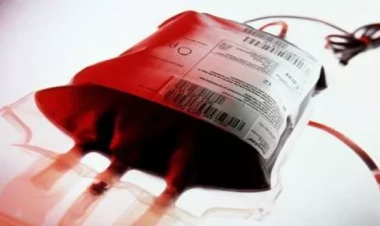 Qanı pulla satmaq olar?