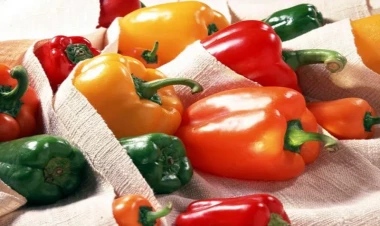 Bu xəstəliyi olanlar bolqar bibəri yeməməlidir