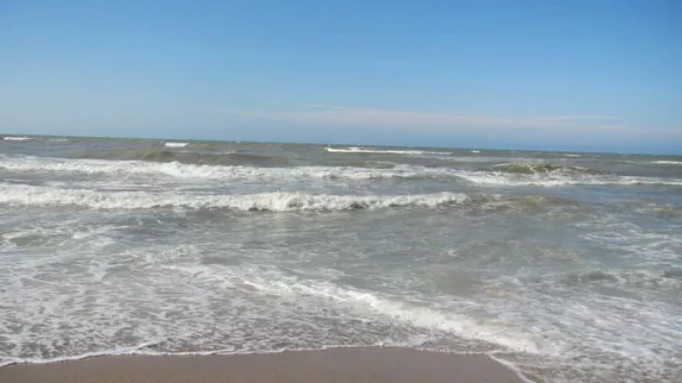 Sumqayıtda dəniz sahilində 6 aylıq uşaq meyiti tapıldı - FOTO