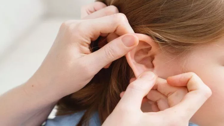 Alimlər printerdən istifadə edərək süni qulaq yaratdılar