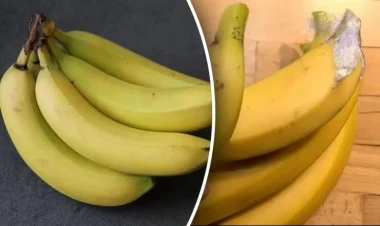 Bananı iki həftə təzə saxlamağın ASAN YOLU
