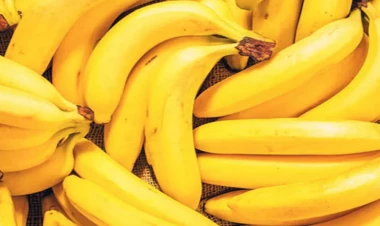 Banan adı ilə aldığımız meyvə 