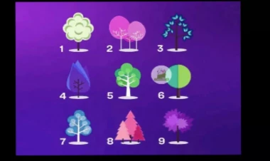 Xarakterinizi 2 kəlmədə dəqiq təsvir edən test