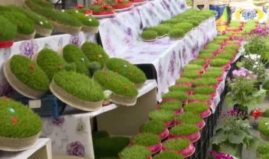 Bakıda 600 manata səməni satılır?