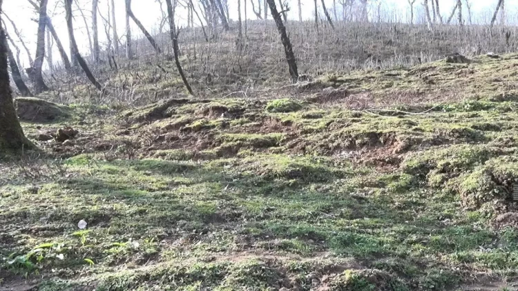 Astarada torpaq sürüşməsi, ailələr təhlükə ilə üzləşdi - FOTO