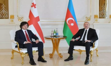 Prezidentin İrakli Kobaxidze ilə təkbətək görüşü olub - VİDEO - FOTO