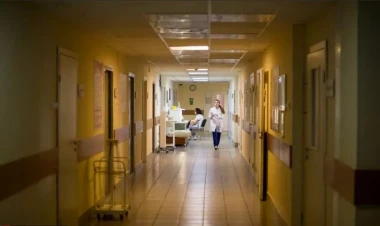 Azərbaycanda arvadını baltalayan 69 yaşlı kişi təcridxanada  öldü