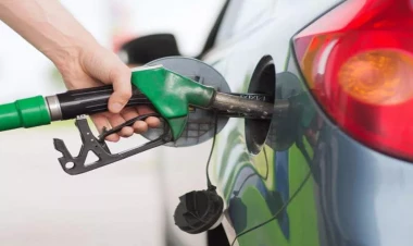 Azərbaycanda benzin istehsalı artıb - CƏDVƏL