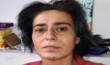 Yıldız Tilbe bu dəfə maraqlı hobbisi ilə gündəmə gəldi - FOTO