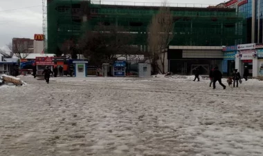 Bakıda həyəcanlı anlar yaradan qadın ixtisaslaşdırılmış tibb mərkəzinə yerləşdirildi - YENİLƏNİB - VİDEO