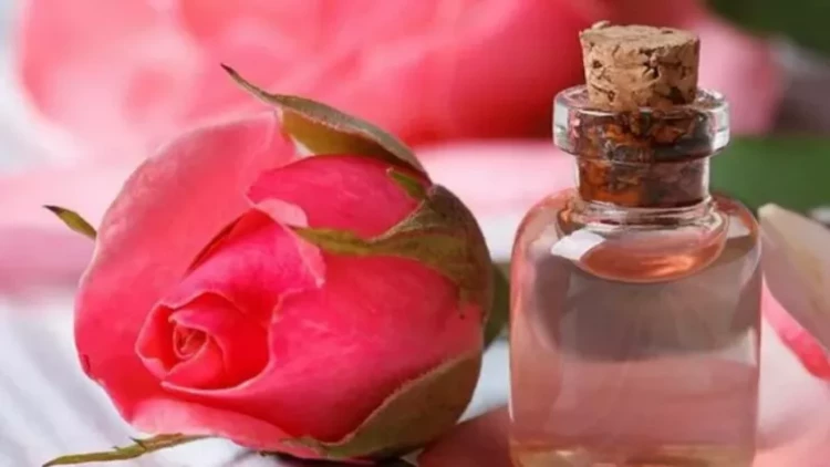 Qızılgül suyunun FAYDALARI