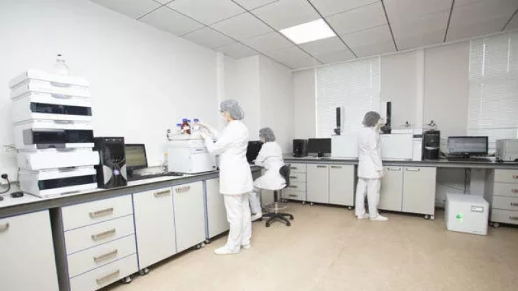 Qurudulmuş meyvələr necə hazırlanmalıdır? - FOTO