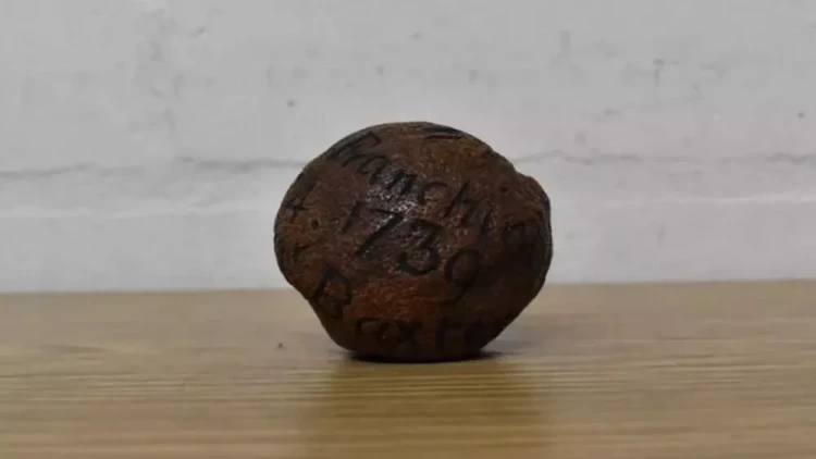 285 illik limon hərracda satıldı - FOTO