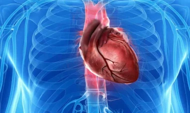 Onkoloq ürək xərçənginin əlamətlərindən danışdı