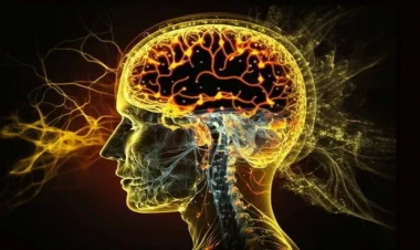 Bu qida iltihaba səbəb olur, beyni parçalayır - Dietoloqdan XƏBƏRDARLIQ