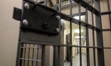 Azərbaycanda cinayətkarlığın dinamikası açıqlanıb - CƏDVƏL