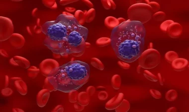 Bu virus qan xərçənginə səbəb olur - Açıqlandı