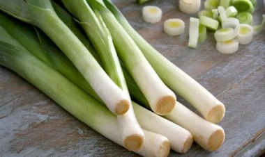 Kəvər deyib keçməyin - Xərçəngin dərmanıdır