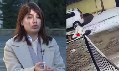 Bakıda ana uşağı ilə gəzərkən itin hücumuna məruz qaldı -  VİDEO