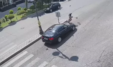 Yasamaldakı qəzanın VİDEOsu müzakirə yaratdı - Sürücü affekt vəziyyətinə düşdü
